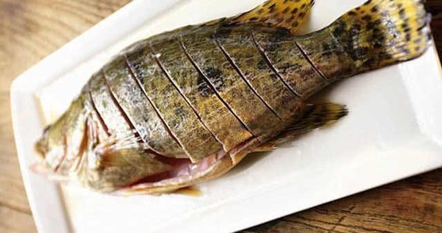 2 cách làm cá mú hấp xì dầu ngon đơn giản ai ăn cũng thích