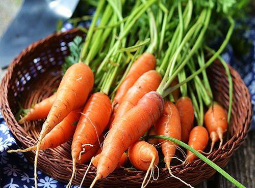 2 cách trồng cà rốt tại nhà siêu đơn giản cho củ mập mạp, ngọt ngon