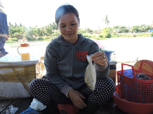Cá sạo là cá gì mà có tiếng "ngon đẳng cấp" của Việt Nam