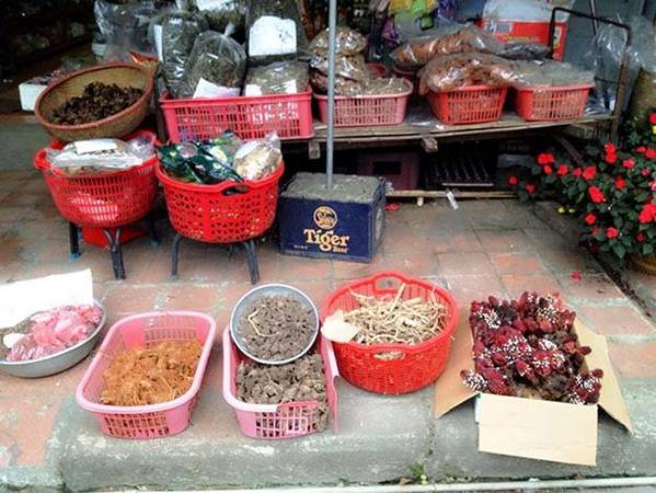 Du lịch Hà Giang, mua nấm ngọc cẩu làm quà